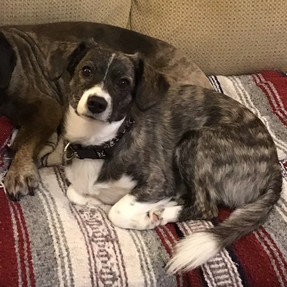 Meet your Posher, Alex - Picture 2 of 2